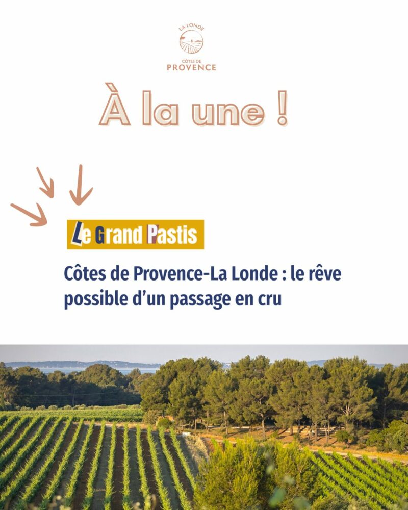 relation de presse domaine viticole