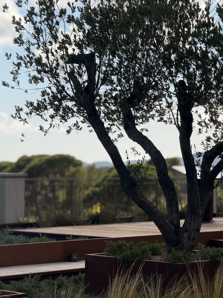 gestion réseaux sociaux vignobles france